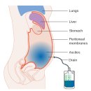 Dr. 클리닉 이미지