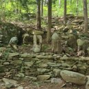 오두산 치유숲 이미지