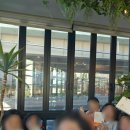 라임나무 | 문릿_1월 1기 독서모임 후기 <나의라임오렌지나무>