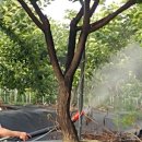 회석농장 이미지