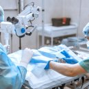 나을동물병원 이미지