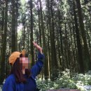 [여행후기]제주3박4일(上)