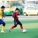 합성초등학교 이미지