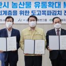 농산물청과 이미지