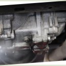 오일오아시스 사상 이미지