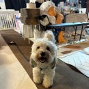 제로네간식타임 이미지