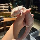 경민한우 | 2025 하반기 쭉 가보자