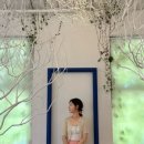 B&B 아그로 이미지