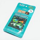 구피(guppy)
