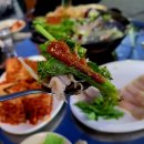 목포홍탁 Daum카페