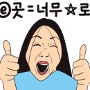 고메303 네이버블로그