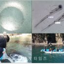 가덕도수산