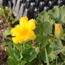 후계자주말농장 이미지