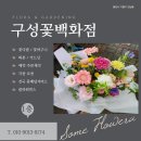 구성꽃백화점 | 용인 마북동 언남동 구성꽃백화점 꽃집