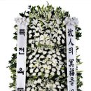 박진택 카카오 검색결과