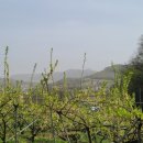 낙원농장3 이미지