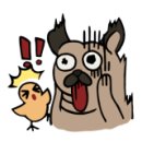 이든 동물의료센터 이미지