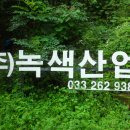 종자리로2 티스토리