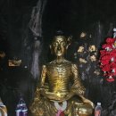 인도불교성지 전정각산과 유영굴 — 법륜스님의 '스님과 손님' 촬영지