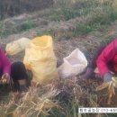 황토골농장 이미지