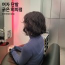 창원 상남동 미용실 한하루헤어본점 여자단발 히피펌 후기
