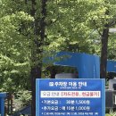 더컨벤션 잠실 아모르홀 하객 후기 뷔페 주차