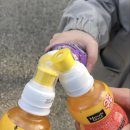 솜리치킨평화점 네이버블로그