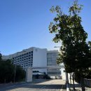 미도헬스타운 | [호텔 추천] 아난티 힐튼 부산 호텔로 호캉스ㅣ9월에 다녀온 오션뷰 수영장(금토 1박 2일 후기)