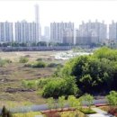 용산-446 이미지