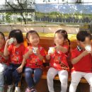 장수농원 이미지