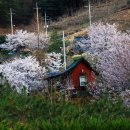 지리산털보농원 이미지