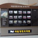 영남디앤지 네이버블로그