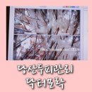 닥터모락 당산점