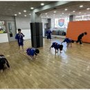 합기도 전문 수련관 이미지