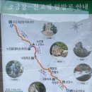 제241차 소금강계곡/노인봉(1,338m) 산행안내 이미지