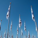 청산 단풍나무길 이미지