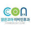 맑은코아이비인후과의원 네이버블로그