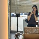 전주 [데이안 헤어] 레이어드컷 후기✂️