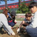 남면초등학교 양덕분교장 이미지