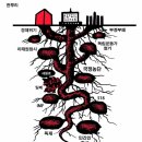 소망연합의원 이미지