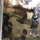 물고기마을 이미지