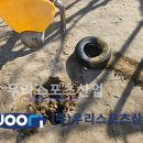 수원동신초등학교 이미지