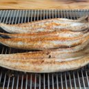 인생참치 - 서구 둔산남로 98-14 | 인생참치