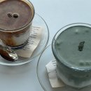 디어터틀(dear turtle) 이미지