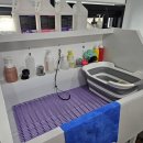 구름이네 애견미용 이미지