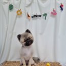 뚜니살롱 이미지