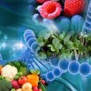 [사이언스타임즈] DNA 검사로 다이어트 가능하다? 이미지