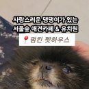 펌킨 펫하우스 서울숲 이미지
