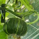 다감농장 이미지