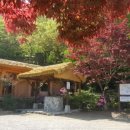 숲속옹달샘도서관 이미지